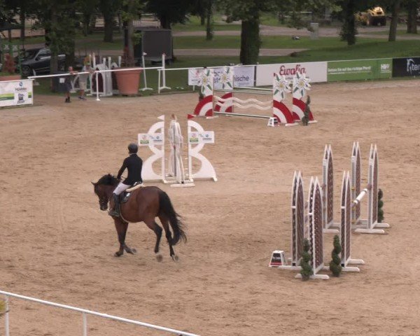 Reitturnier Stadl-Paura 2024