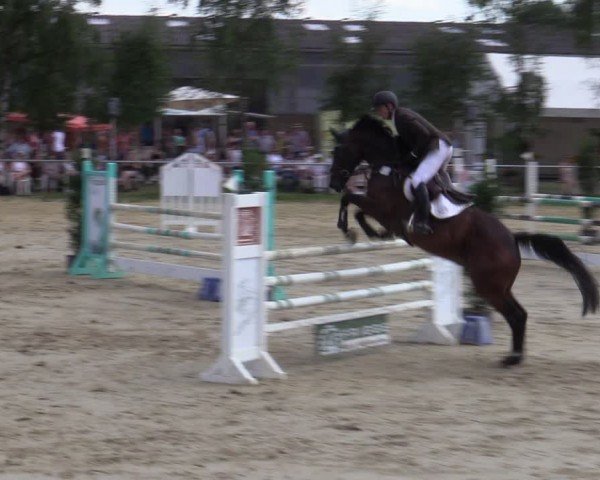 Reitturnier Herbern 2024