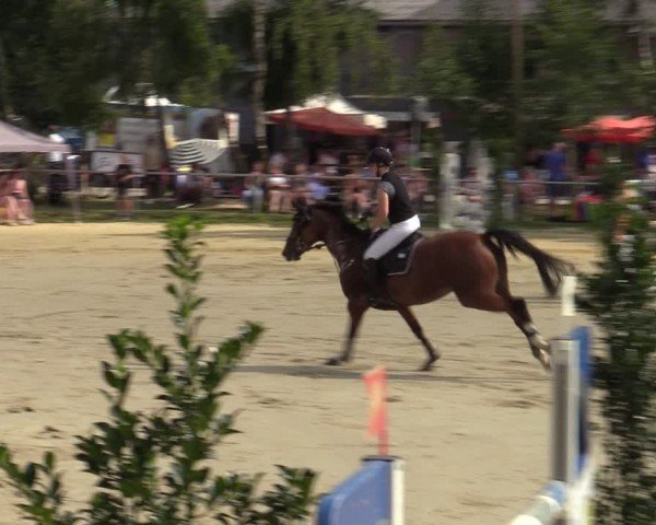 Reitturnier Herbern 2024