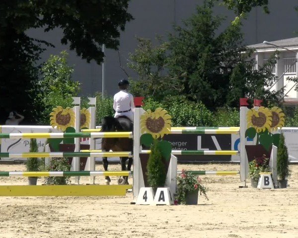Reitturnier Dagmersellen 2024