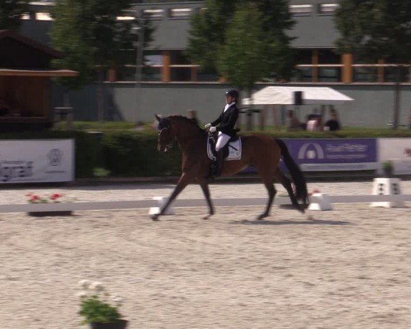 Reitturnier Neustadt/Dosse 2024