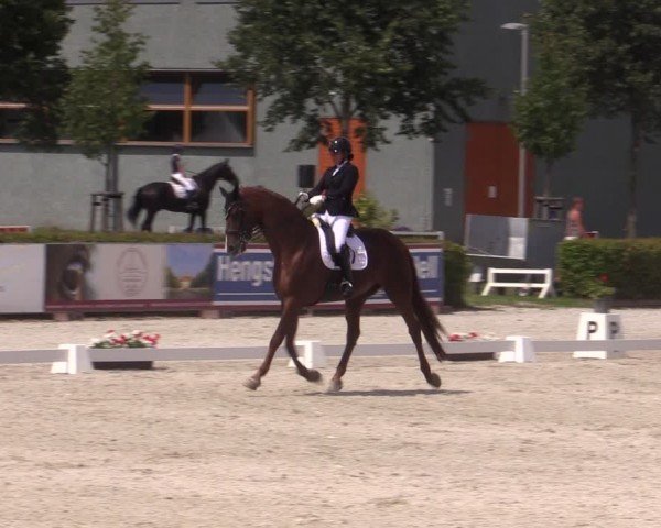 Reitturnier Neustadt/Dosse 2024