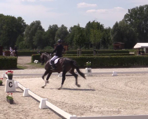 Reitturnier Neustadt/Dosse 2024