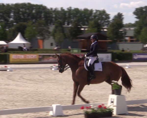 Reitturnier Neustadt/Dosse 2024