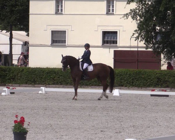 Reitturnier Neustadt/Dosse 2024