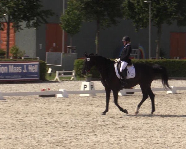 Reitturnier Neustadt/Dosse 2024