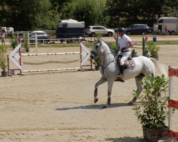Reitturnier Heiligenwald 2024
