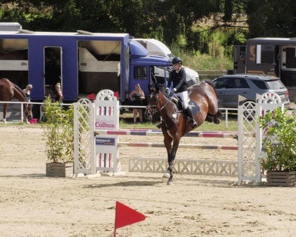 Reitturnier Heiligenwald 2024
