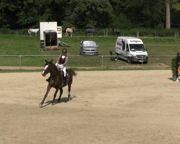 Reitturnier Bad Liebenstein/Sorga 2024