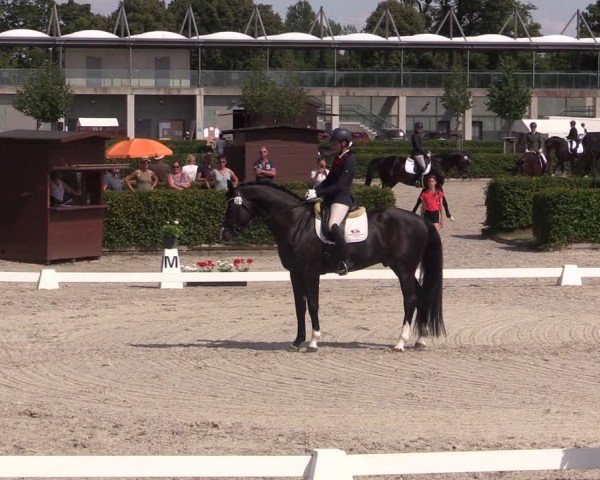 Reitturnier Neustadt/Dosse 2024