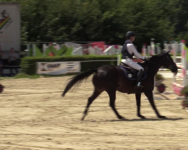 Reitturnier Weiswampach  2024