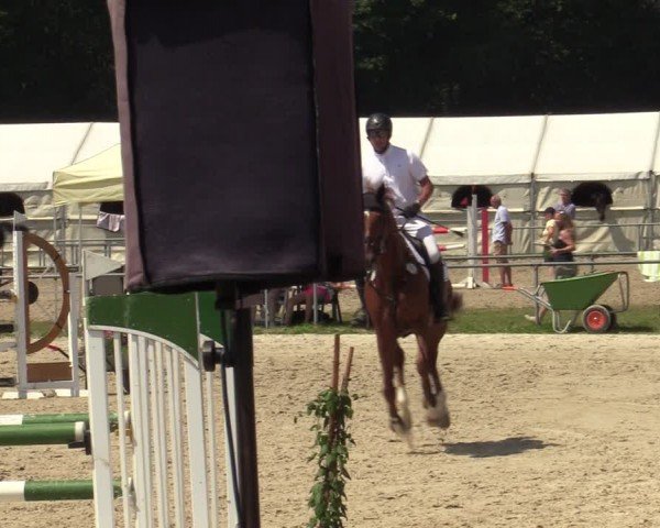 Reitturnier Weiswampach  2024