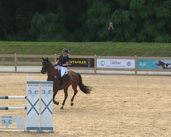 Reitturnier Tiefenhof/Opf. 2024