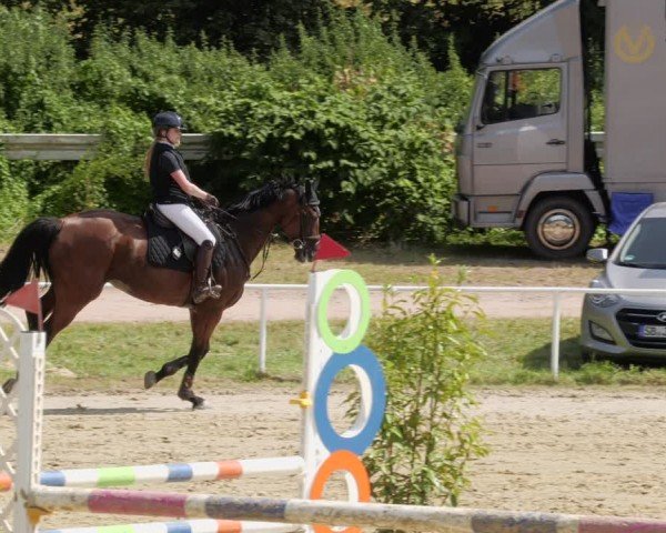 Reitturnier Heiligenwald 2024