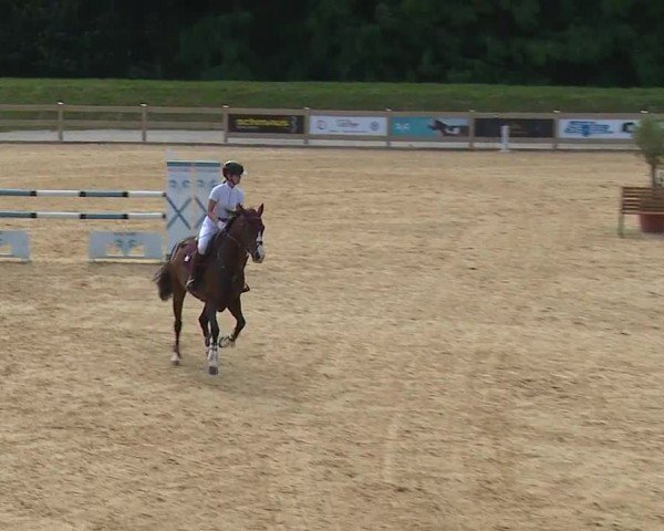 Reitturnier Tiefenhof/Opf. 2024
