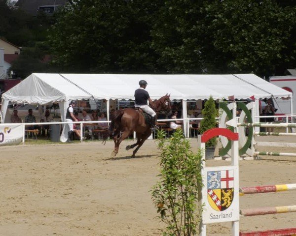 Reitturnier Heiligenwald 2024