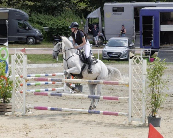 Reitturnier Heiligenwald 2024