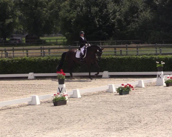 Reitturnier Neustadt/Dosse 2024