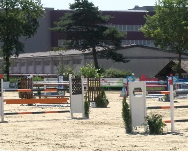 Reitturnier Dagmersellen 2024