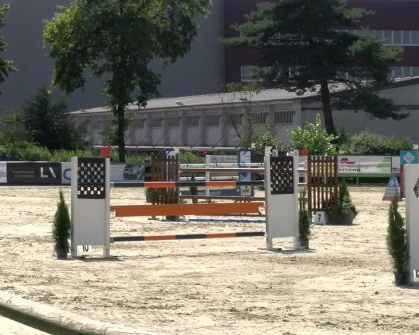 Reitturnier Dagmersellen 2024