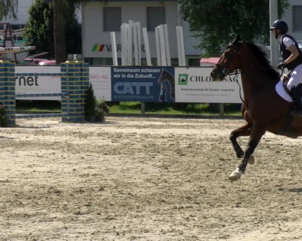 Reitturnier Dagmersellen 2024