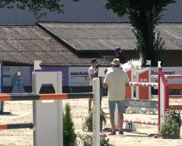 Reitturnier Dagmersellen 2024