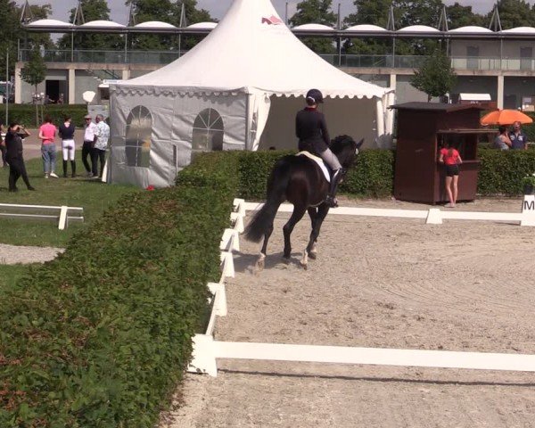 Reitturnier Neustadt/Dosse 2024