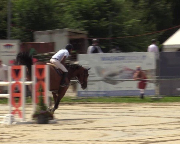 Reitturnier Weiswampach  2024