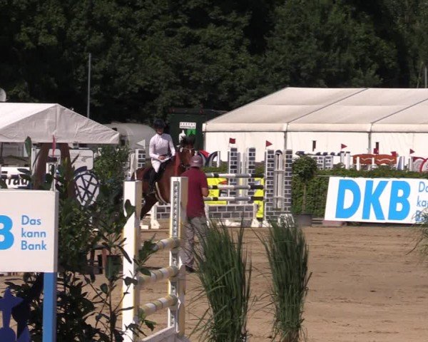 Reitturnier Neustadt/Dosse 2024