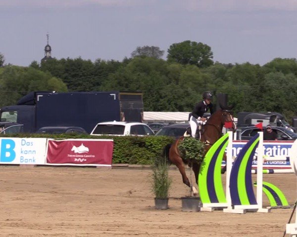 Reitturnier Neustadt/Dosse 2024