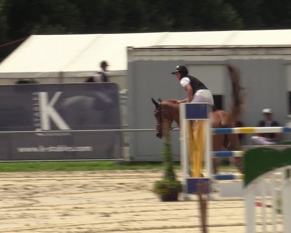 Reitturnier Weiswampach  2024