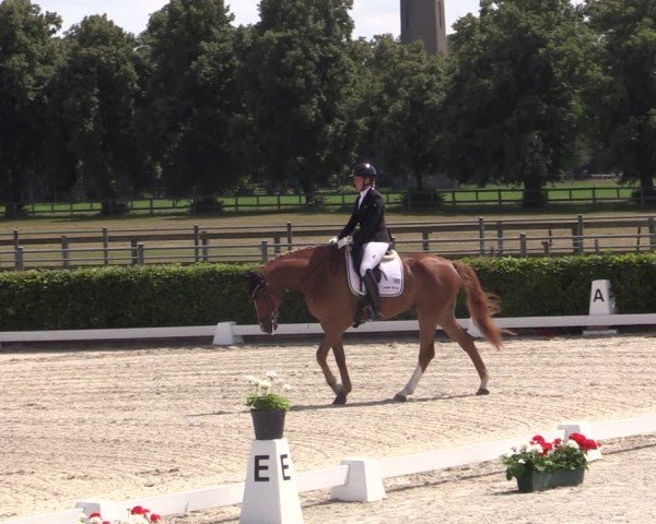 Reitturnier Neustadt/Dosse 2024