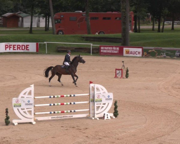 Reitturnier Stadl-Paura 2024