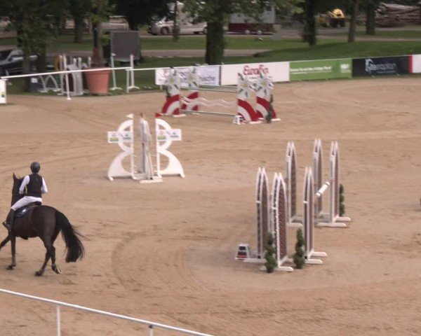Reitturnier Stadl-Paura 2024