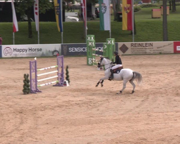 Reitturnier Stadl-Paura 2024