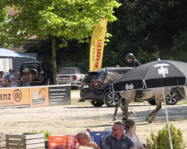 Reitturnier Heiligenwald 2024