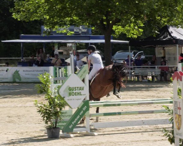Reitturnier Heiligenwald 2024