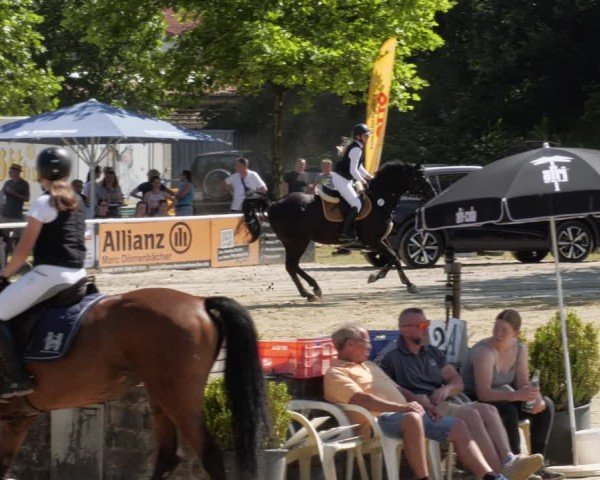 Reitturnier Heiligenwald 2024