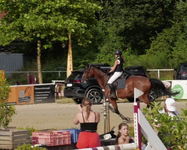 Reitturnier Heiligenwald 2024