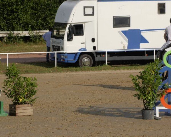 Reitturnier Heiligenwald 2024