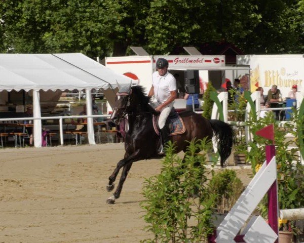 Reitturnier Heiligenwald 2024