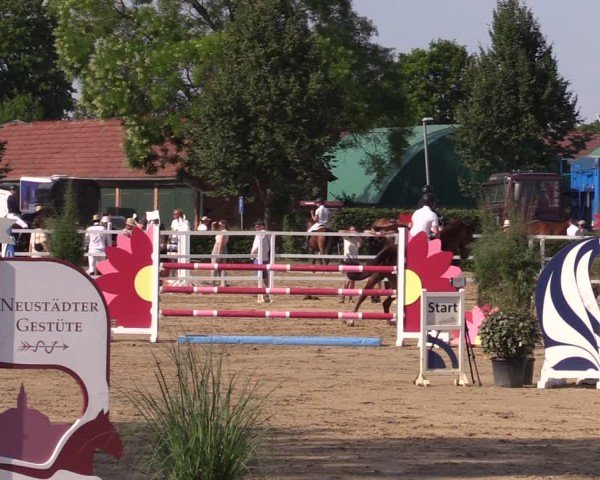 Reitturnier Neustadt/Dosse 2024