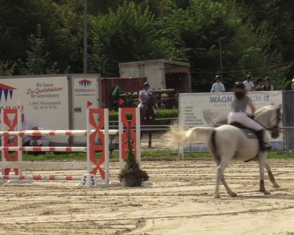 Reitturnier Weiswampach 2024