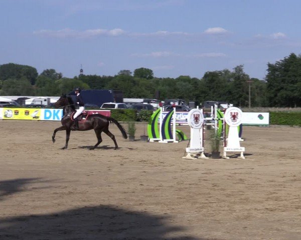 Reitturnier Neustadt/Dosse 2024