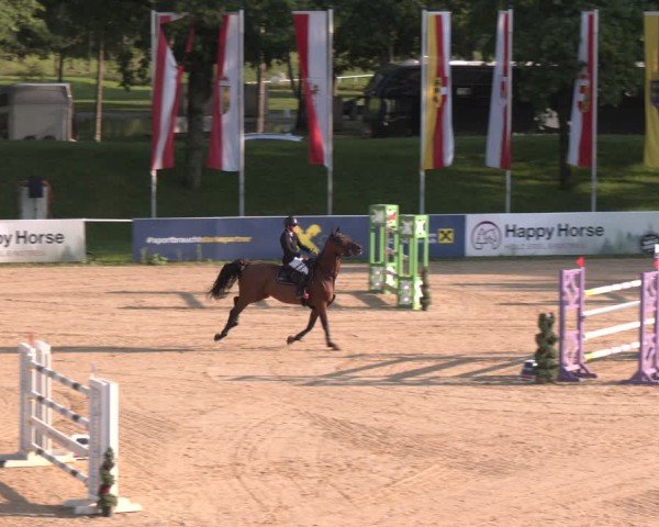 Reitturnier Stadl-Paura 2024