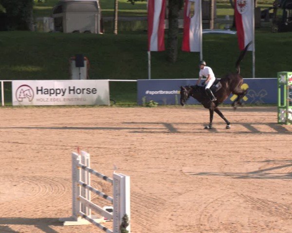 Reitturnier Stadl-Paura 2024