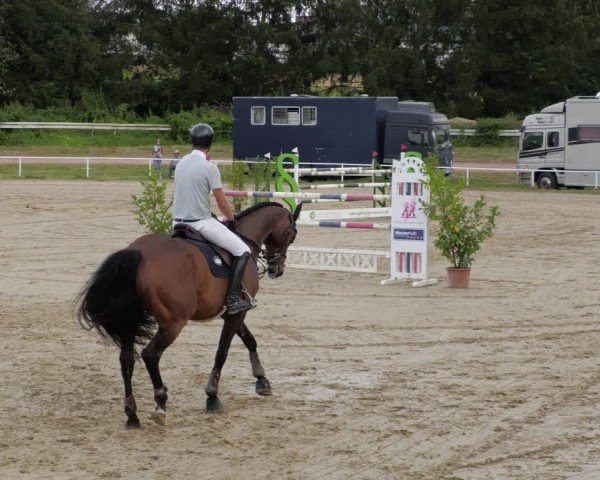 Reitturnier Heiligenwald 2024