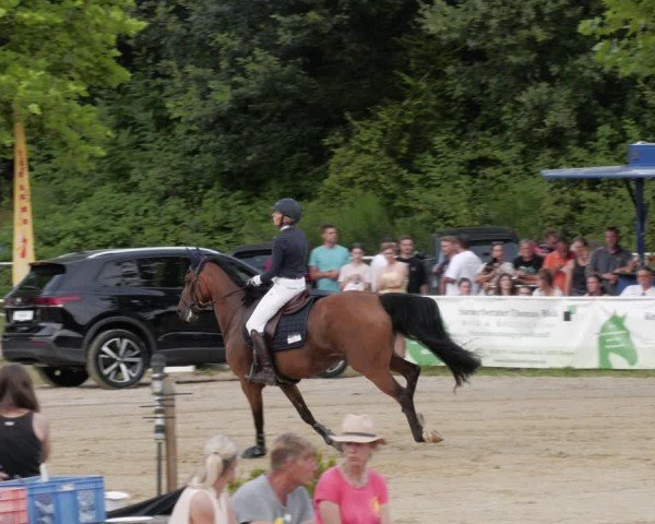 Reitturnier Heiligenwald 2024