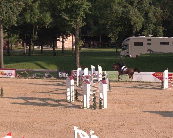 Reitturnier Stadl-Paura 2024