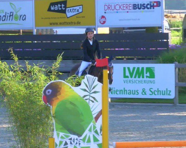 Reitturnier Barlo-Bocholt 2024